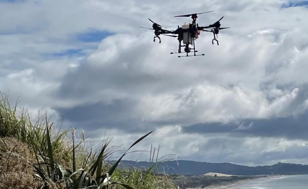 Time to sort your weed control Time to sort your weed control